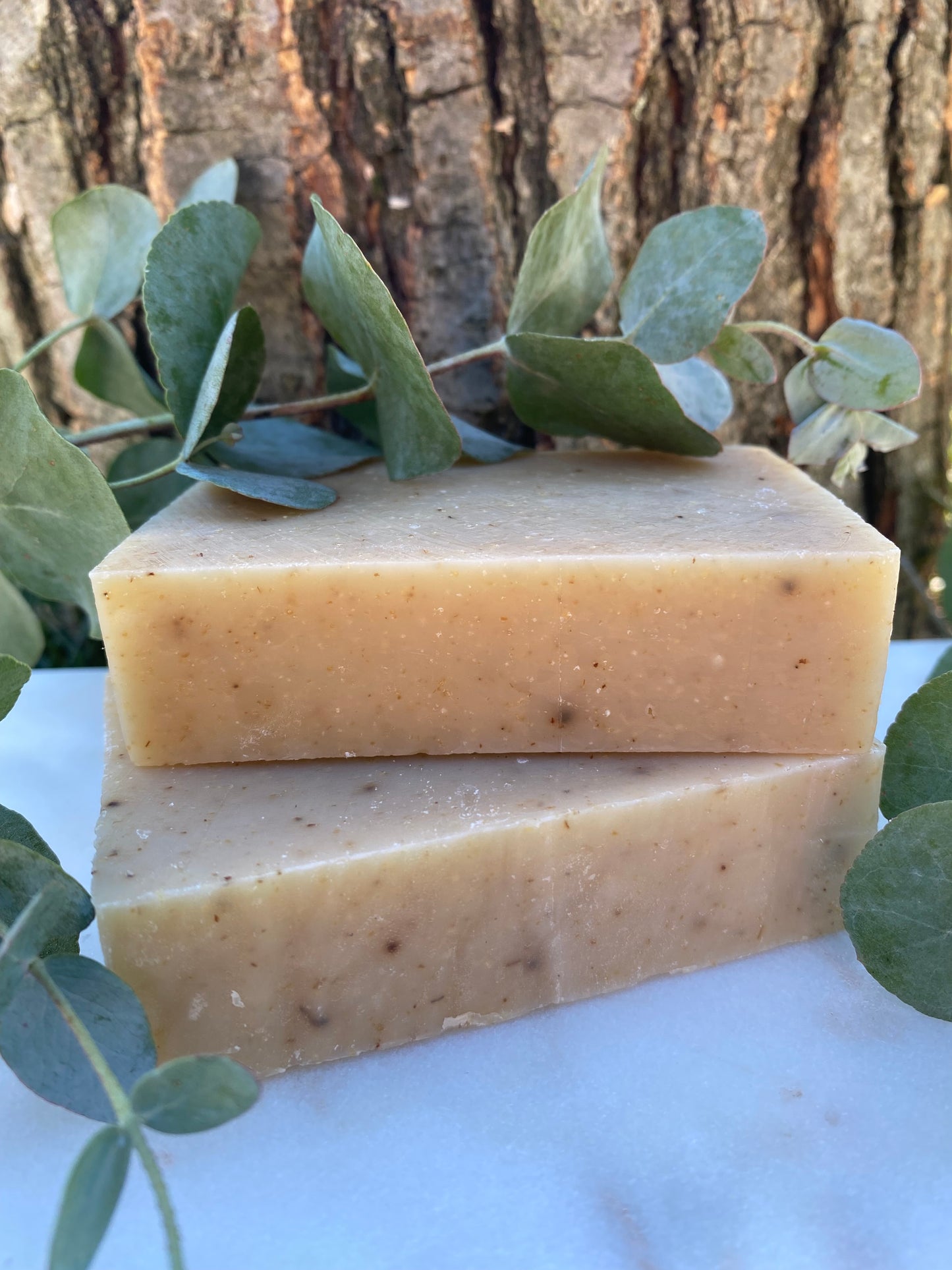 Exfoliating Herb Tallow Hand Soap