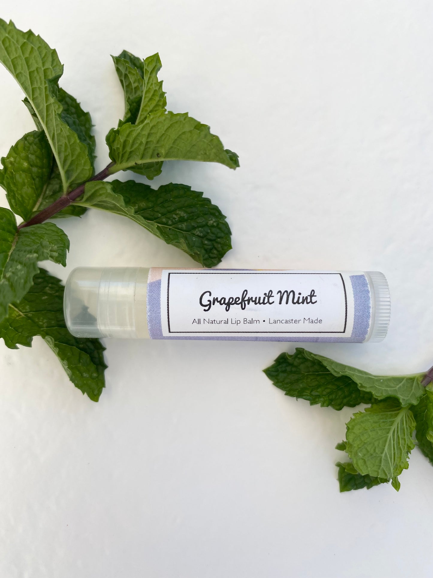 Grapefruit Mint Tallow Lip Balm